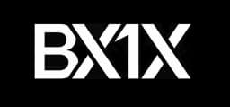 BX1X